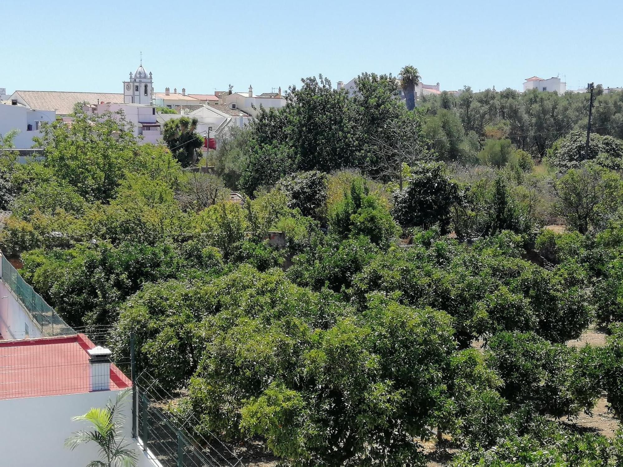 Villa Cerro E Mar Moncarapacho Dış mekan fotoğraf