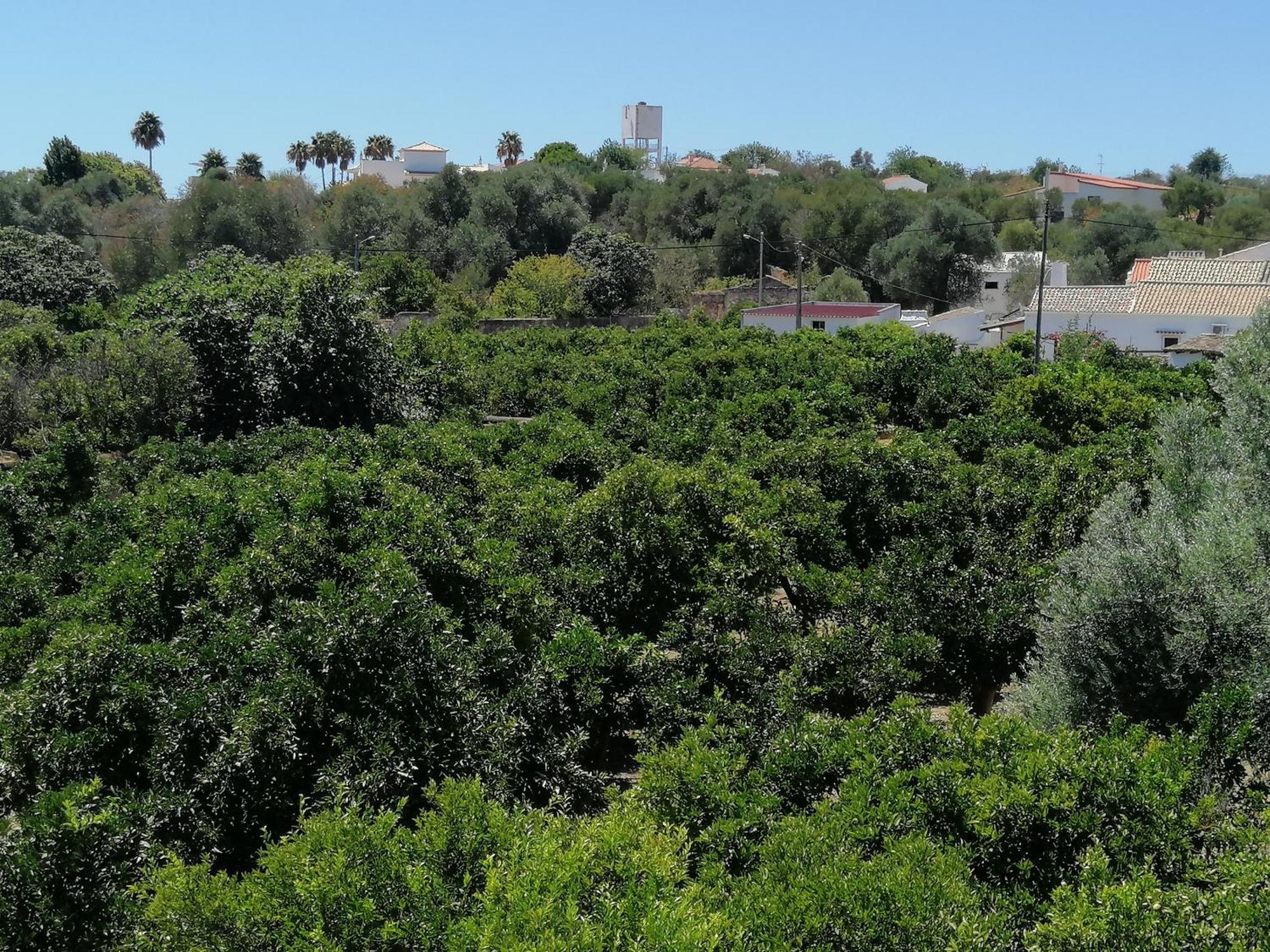 Villa Cerro E Mar Moncarapacho Dış mekan fotoğraf